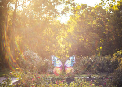 ABWButterflies25-001