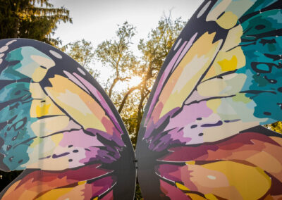 ABWButterflies25-045