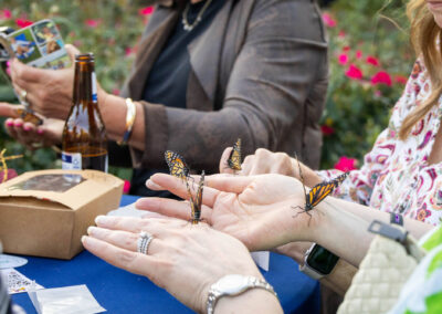 ABWButterflies25-069