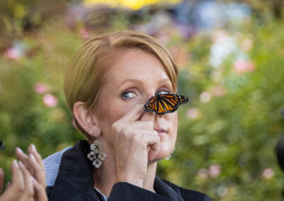 ABWButterflies25-079