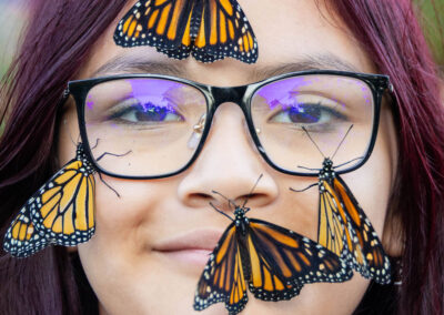 ABWButterflies25-080