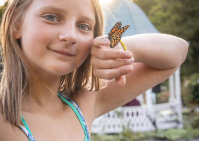 ABWButterflies25-083