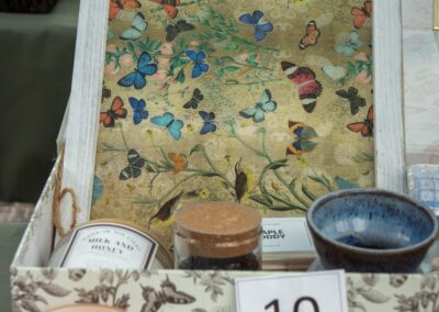 ABW-Butterflies2026-034