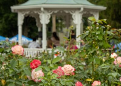 ABW-Butterflies2026-044