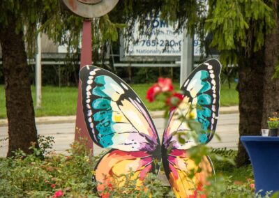 ABW-Butterflies2026-050