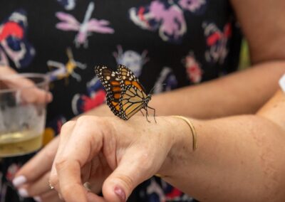 ABW-Butterflies2026-068
