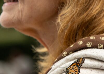 ABW-Butterflies2026-074